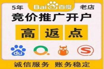 成功企业背后的百度推广策略